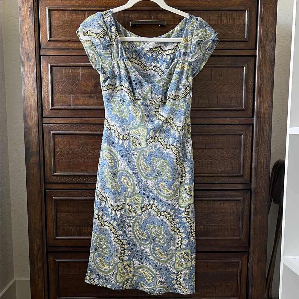 Elegant Blue Paisley Dress